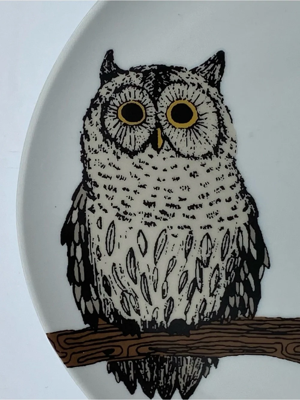West Elm Owl Plate 8.5” Serving Art Drawing Display Bird Ceramic Birding Tree